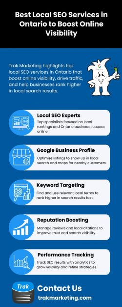 Search Optimization Services Supporting Business Growth