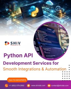 Shiv Technolabs | Modern Python Web App Development Company