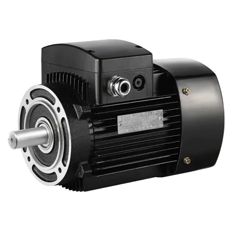 YE3 Three-Phase 3W Induction Motor