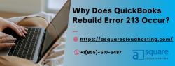 Quick Fixes for QuickBooks Rebuild Error 213 You Should Try