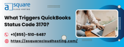 QuickBooks Status Code 3170 and Its Impact on Business
