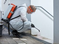 Trusted Mold Remediation in Eastchester NY for Complete and Lasting Mold Solutions
