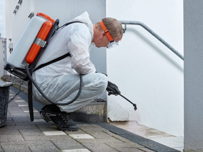 Trusted Mold Remediation in Eastchester NY for Complete and Lasting Mold Solutions