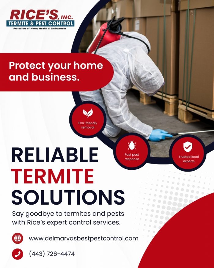 Reliable Termite Solutions – Protect Your Home Today!
