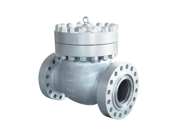 Swivel-type Check Valve