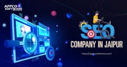 Ecommerce SEO Services Jaipur for Online Store Growth