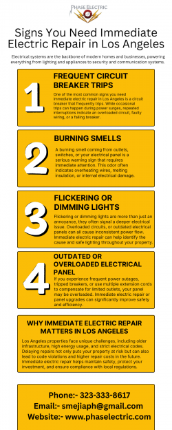 Signs You Need Immediate Electric Repair in Los Angeles