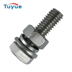 SS304 Bolt Nut Washer Assembly