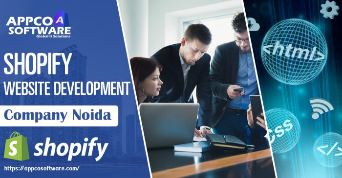 Best Web Designing Company in Noida for Professional Websites