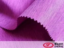 ZY-5768 600D Linen Type Cationic Fabric (WR)
