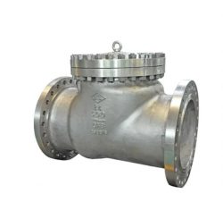 Flow Protection Made Easy – Cast Check Valves