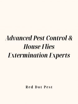 Advanced Pest Control & House Flies Extermination Experts