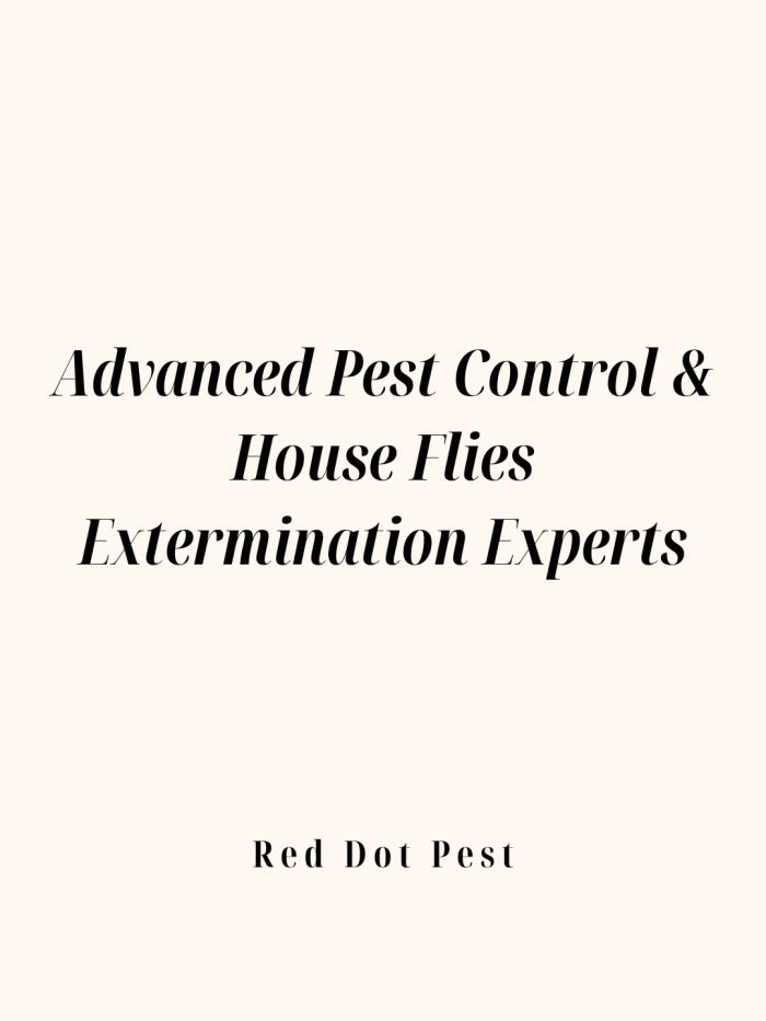 Advanced Pest Control & House Flies Extermination Experts