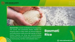 Top Non Basmati Rice Manufacturers in India