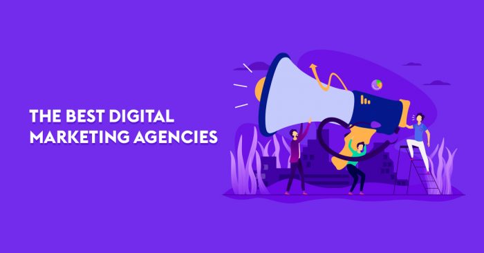 Why Do Businesses Need Digital Marketing in Pakistan?