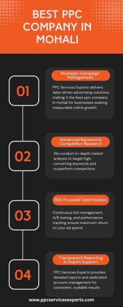 Best PPC Company in Mohali for High-ROI Advertising Results