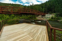 Black Locust Decking Pricing