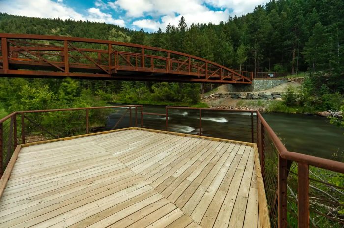 How expensive is Black Locust Decking