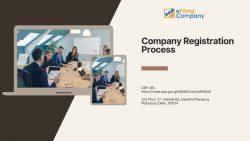 Company Registration Process – Efilingcompany