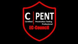 Job-Oriented CPENT Course in Pune for Cybersecurity Careers