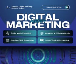 Digital Marketing Company in Gurgaon for SEO & Ads | Amaytics