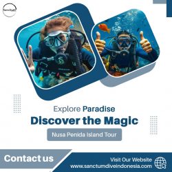 Explore Paradise Discover the Magic of Nusa Penida Island Tour