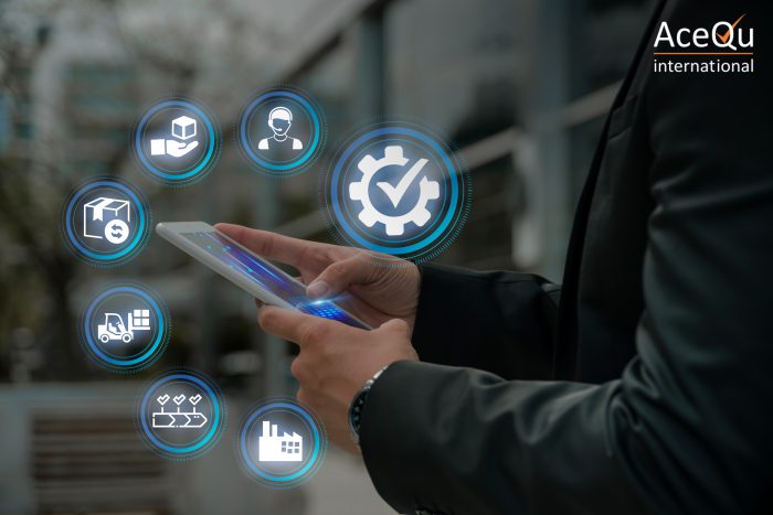 Professional ISO Consultants for Business Excellence