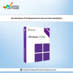 Get Windows 11 Professional for Secure Fast Installation