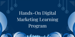 High-Power Business Website Development and Marketing Services