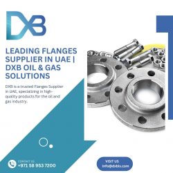 Leading Flanges Supplier in UAE | DXB Oil & Gas Solutions