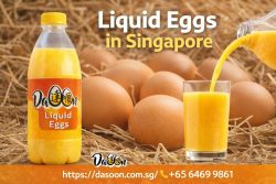 Best Place to Buy Liquid Eggs in Singapore – Dasoon
