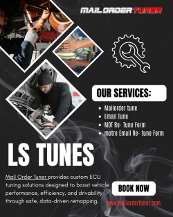 Professional LS Tunes by Mail Order Tuner