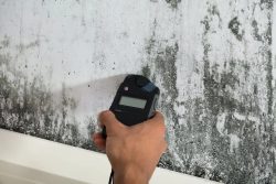 Reliable Mold Inspection Dallas Services
