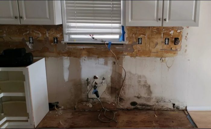 Certified Mold Removal Inc. – Expert Mold Removal in Bucks County, PA
