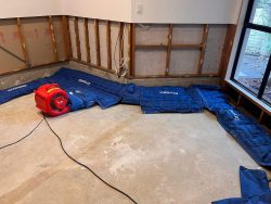 Emergency Water Clean Up Sydney – 24/7 Response