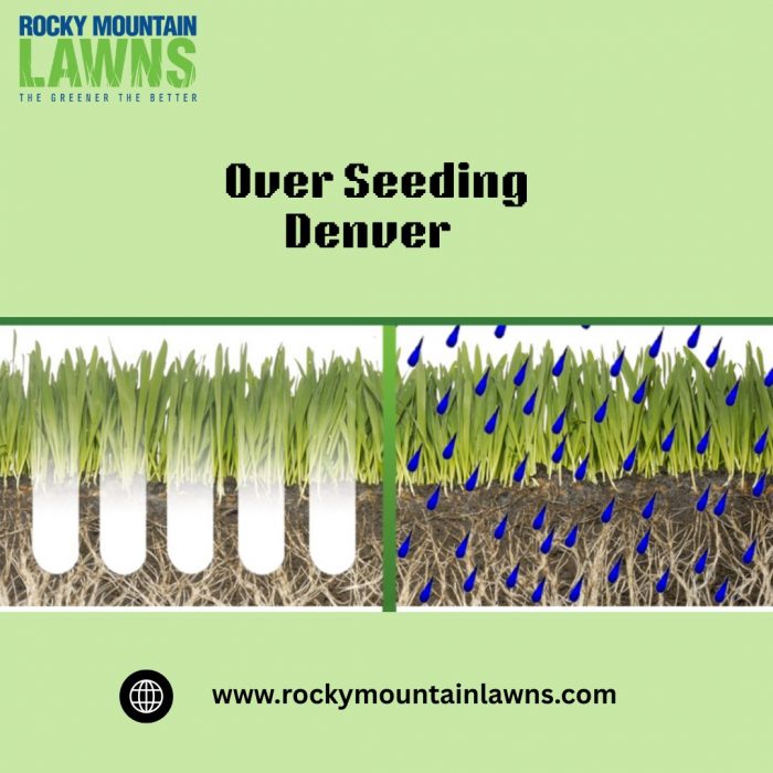 Over Seeding Denver
