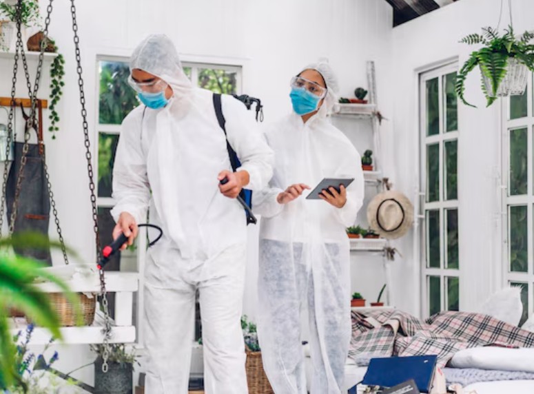 Effective Home Pest Control Singapore Services