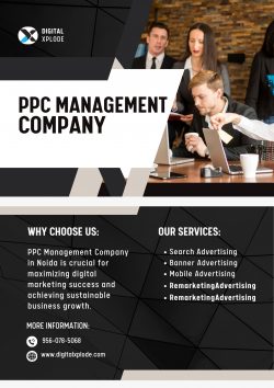PPC Management Company Delivering Cost-Effective PPC Services