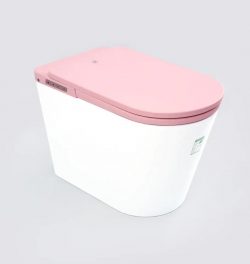 Leipzig 2.0 One-Piece Tankless Intelligent Toilet – High-End Upgrade
