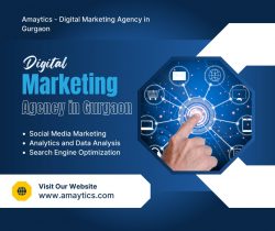 Creative Social Media Marketing Company in Gurgaon | Amaytics