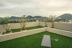 Professional Turf Installers for Rooftop Lawn Solutions
