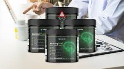 MemoryFuel Brain Supplement