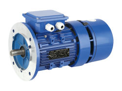 Electric Motor Enables Global Electrification