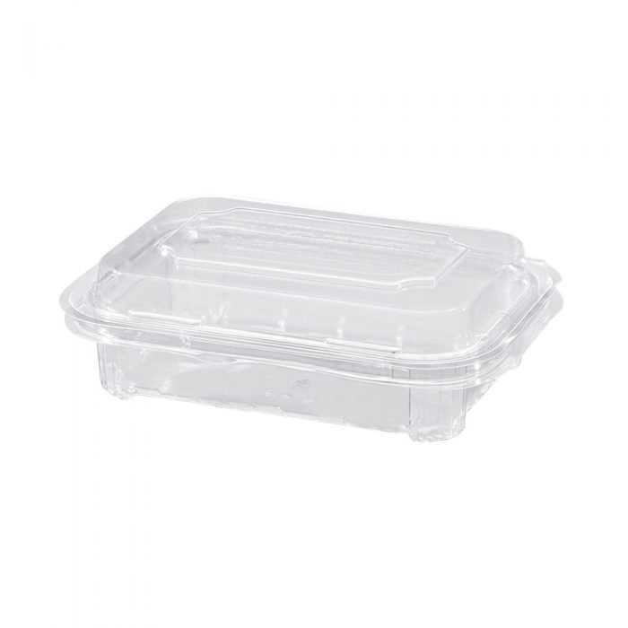 Fresh-Keeping Container: Engineered Storage for Extended Food Life