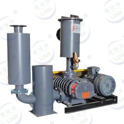 Roots Vacuum Pump