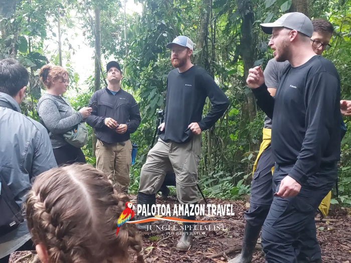 Amazon Rainforest Tours from Cusco – Gateway to the Jungle