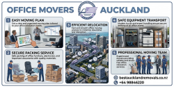 Office Movers Auckland – Smart & Secure Business Relocation