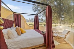 Why Bubble Dome Tent Rental is the Perfect Stargazing Escape for Travellers