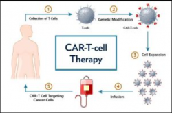 CAR T-Cell Therapy Cost in India – HOSPISITY
