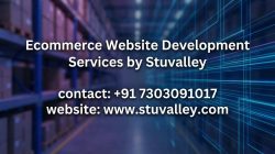 Ecommerce Website Development Services by Stuvalley